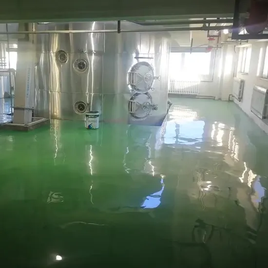 Hygienic Epoxy Resin Terrazzo Floor Coating for Hospital Corridors 